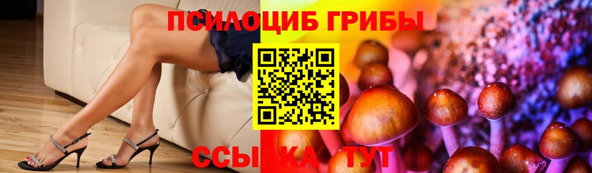 Псилоцибиновые грибы GOLDEN TEACHER  Вход с VPN  хочу   Симферополь  Галлюциногенные грибы Psilocybe 